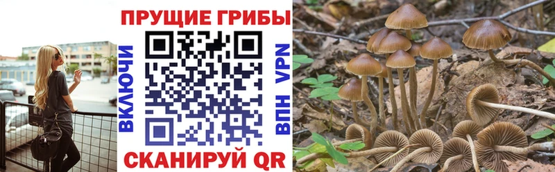 Галлюциногенные грибы ЛСД Советская Гавань