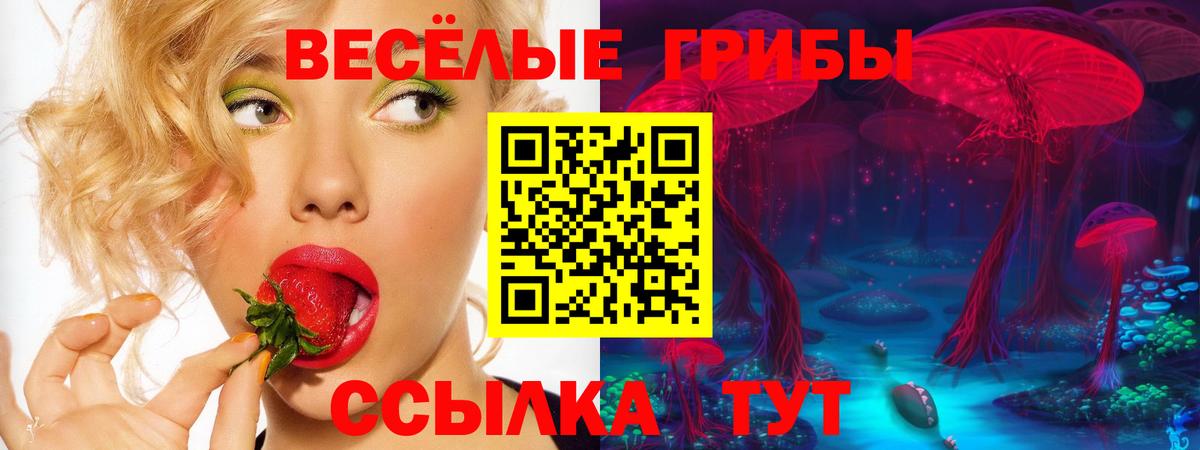 Галлюциногенные грибы GOLDEN TEACHER  Галлюциногенные грибы MAGIC MUSHROOMS  Вход с VPN  наркотики  Советская Гавань 